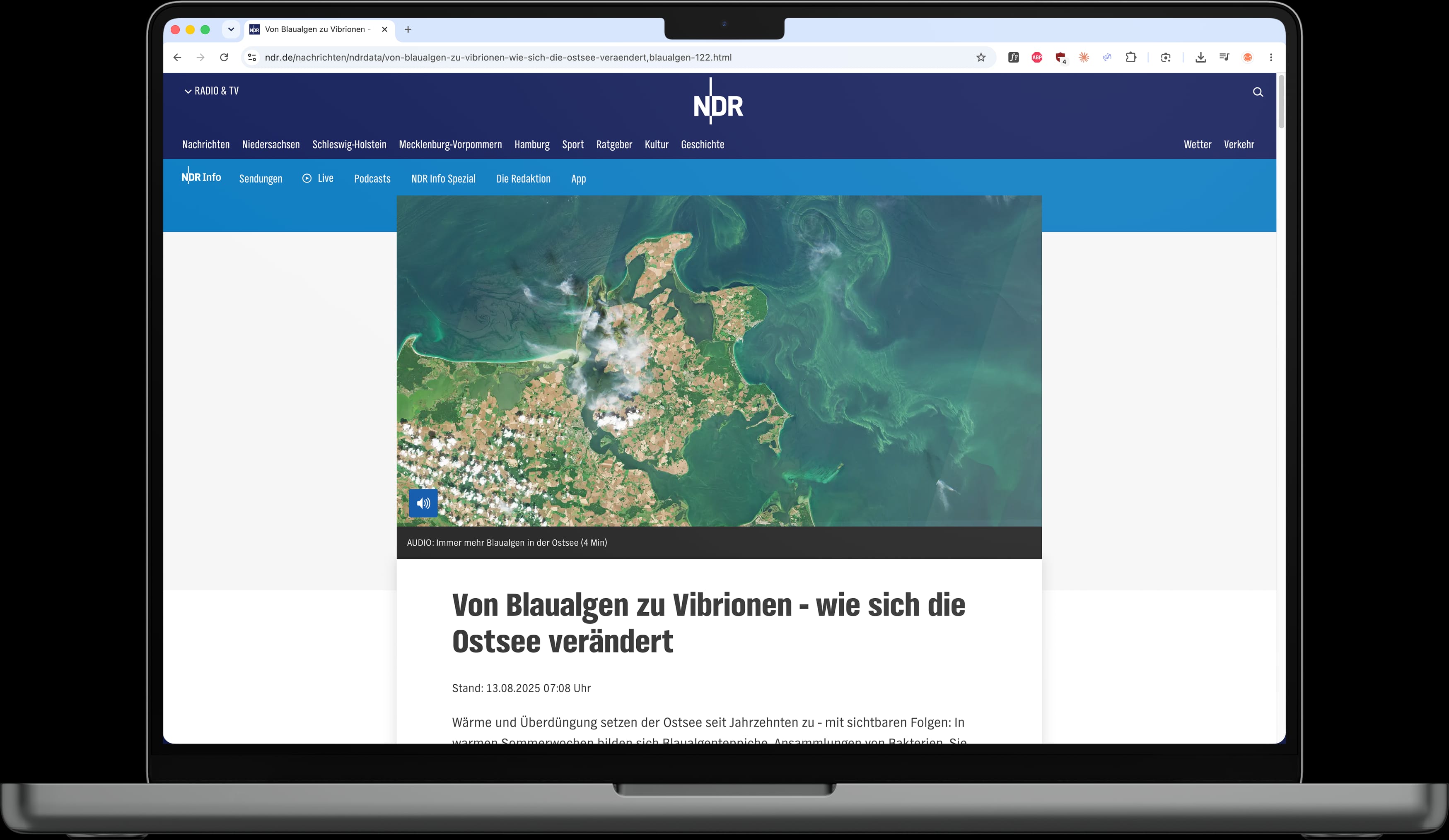 NDR article about blue-green algae and Vibrio featuring a satellite image of an algae bloom in the Baltic Sea