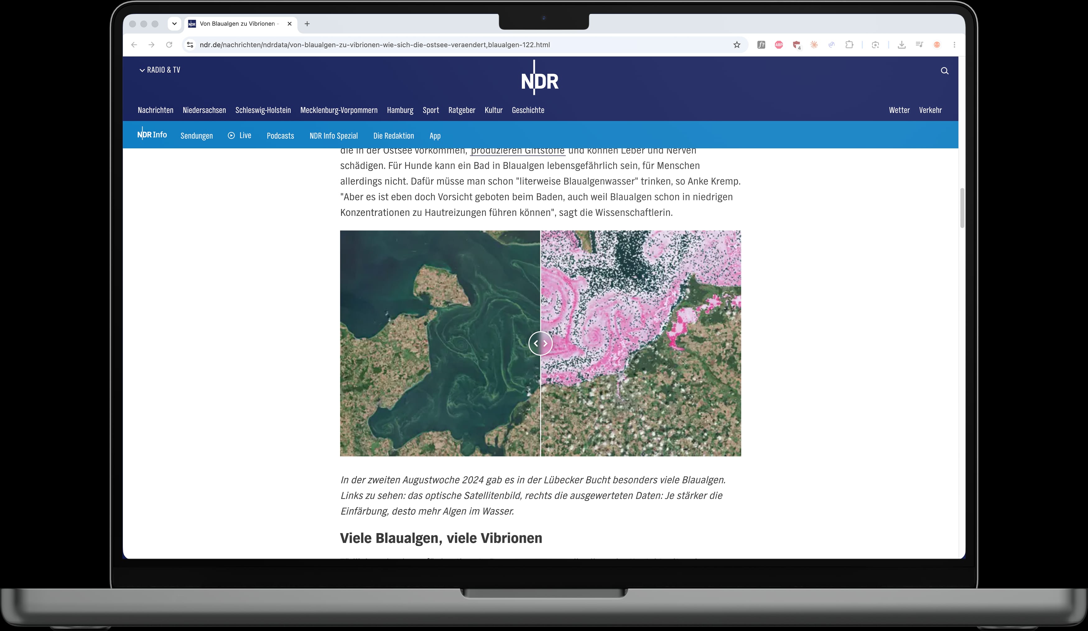 Comparison of a Baltic Sea satellite image with the algorithmically detected extent of a blue-green algae bloom